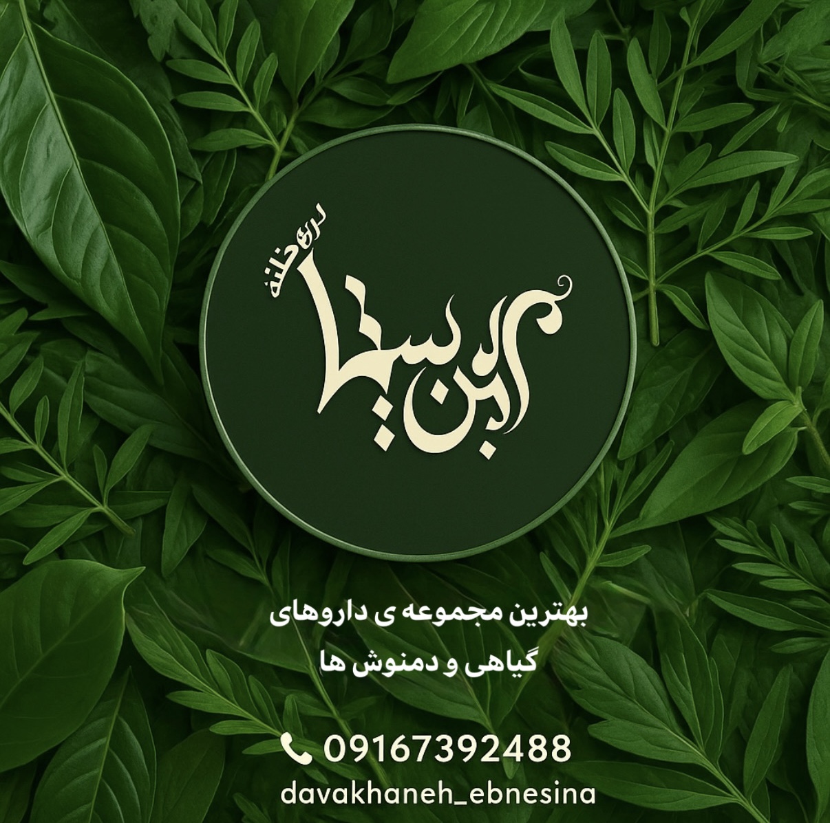 گیاهان ودمنوش ها خرید: